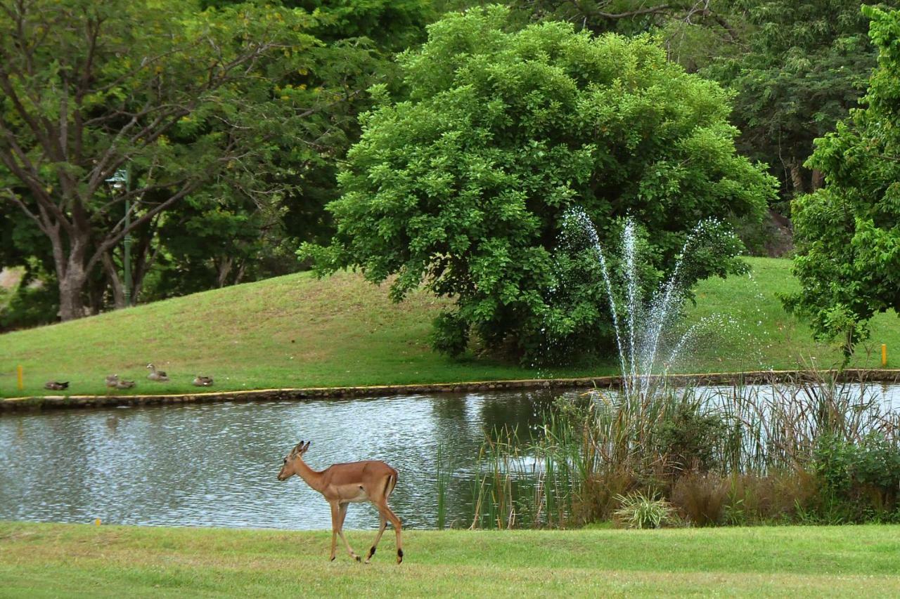 Kruger Park Lodge Unit No. 524 Hazyview Exteriör bild